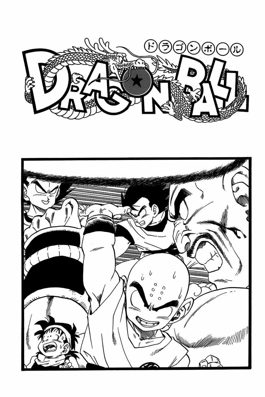 Read Dragon Ball chapter 224.5 image 13 on Lezhin