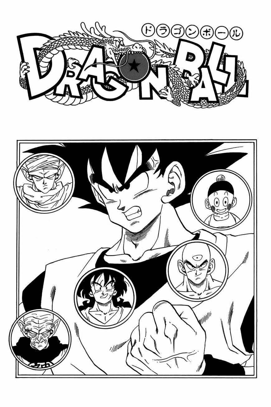 Read Dragon Ball chapter 224.5 image 15 on Lezhin