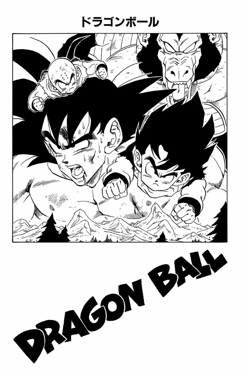 Read Dragon Ball chapter 239.5 image 12 on Lezhin
