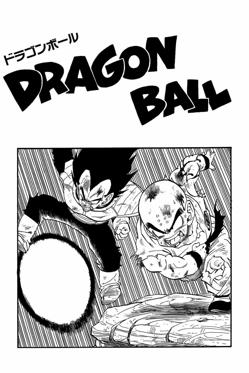 Read Dragon Ball chapter 239.5 image 16 on Lezhin