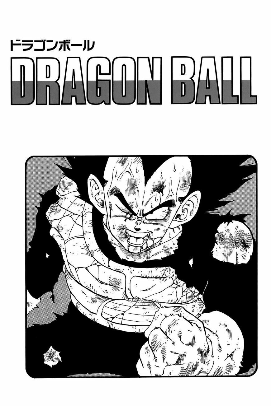Read Dragon Ball chapter 239.5 image 17 on Lezhin