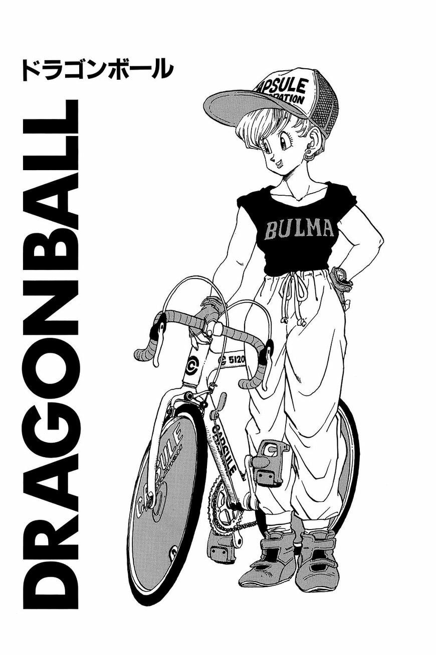 Read Dragon Ball chapter 239.5 image 4 on Lezhin