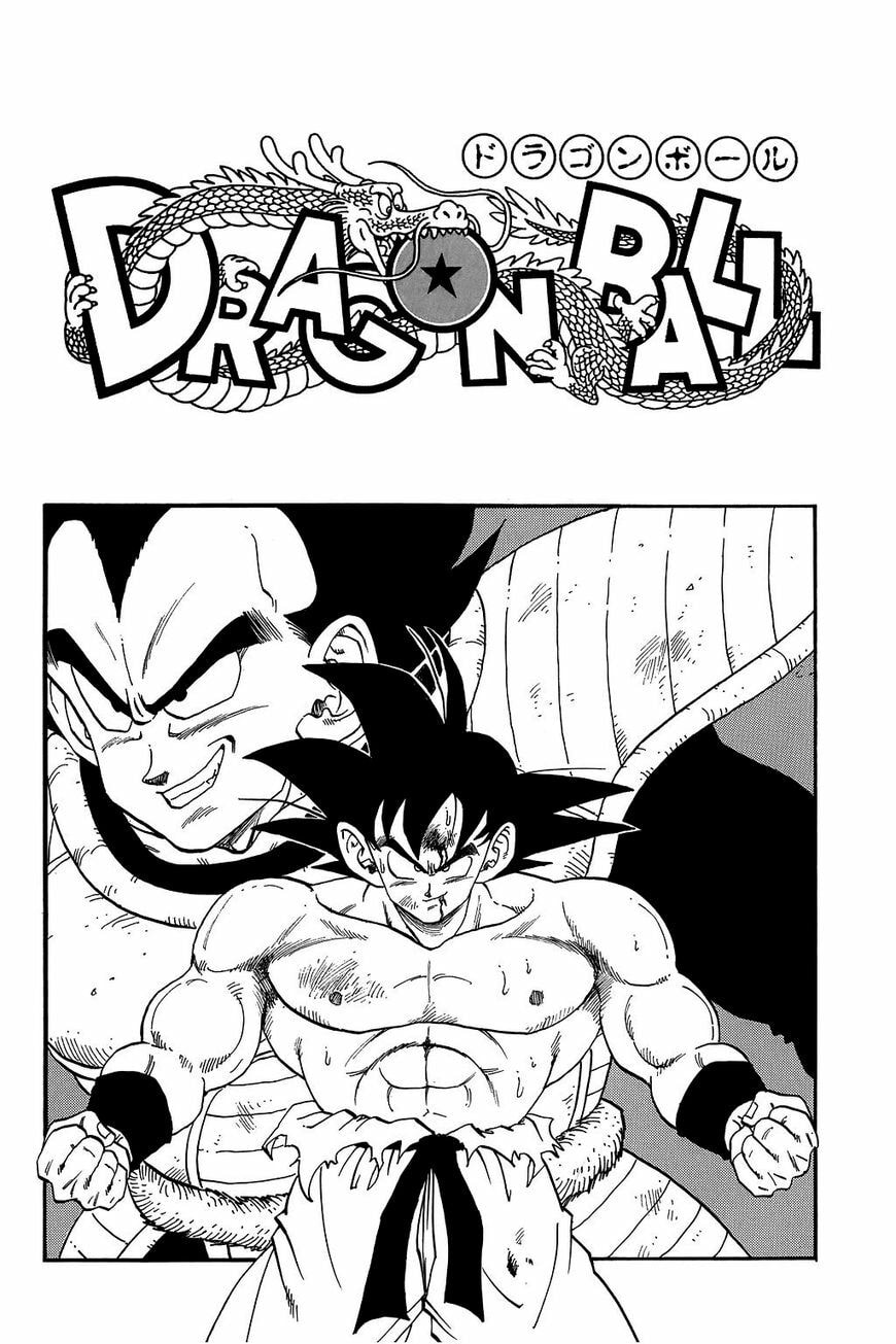 Read Dragon Ball chapter 239.5 image 8 on Lezhin