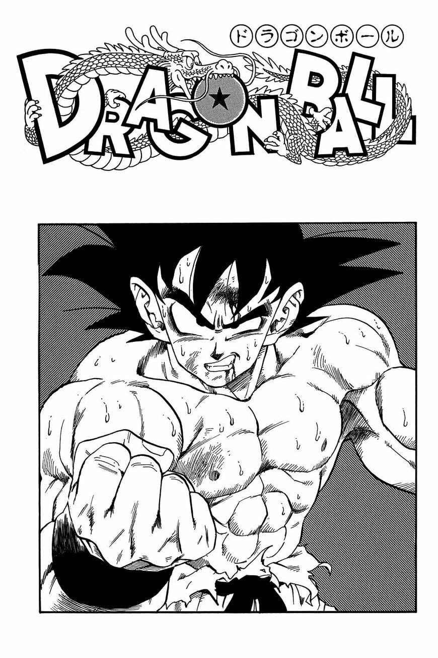 Read Dragon Ball chapter 239.5 image 9 on Lezhin