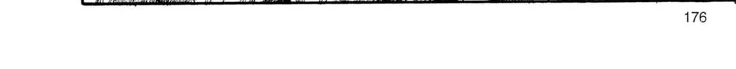 Read Dragon Ball chapter 24 image 1 on Lezhin