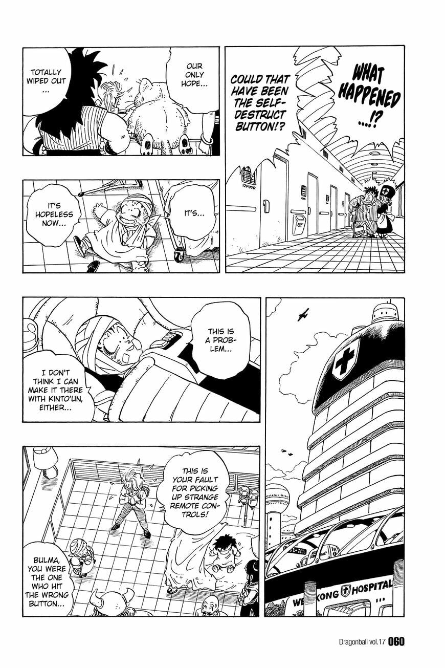 Read Dragon Ball chapter 243 image 12 on Lezhin