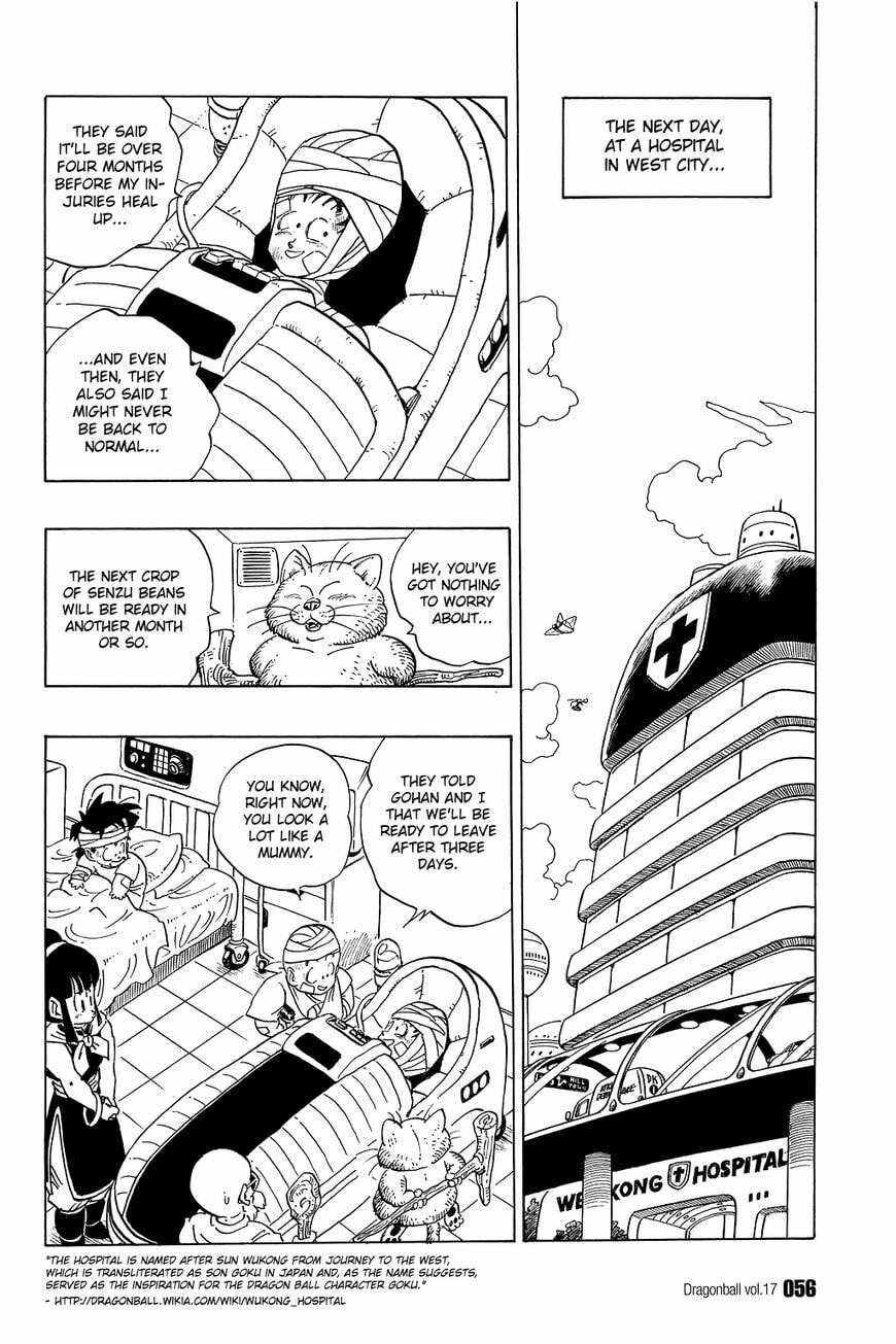 Read Dragon Ball chapter 243 image 8 on Lezhin