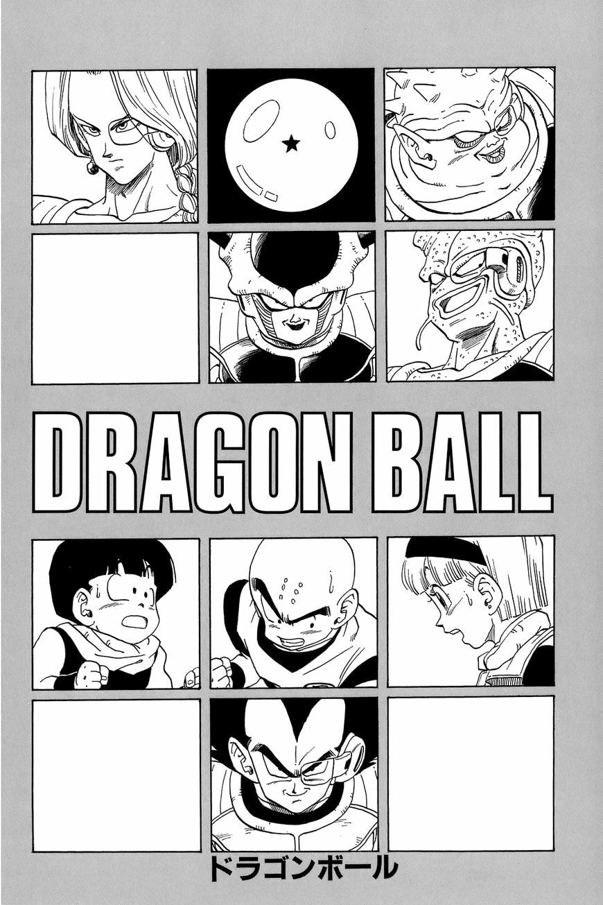 Read Dragon Ball chapter 254.5 image 10 on Lezhin