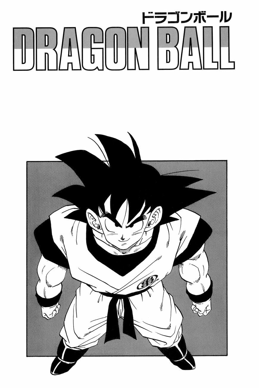 Read Dragon Ball chapter 254.5 image 12 on Lezhin