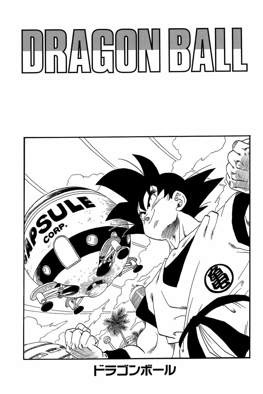 Read Dragon Ball chapter 254.5 image 13 on Lezhin