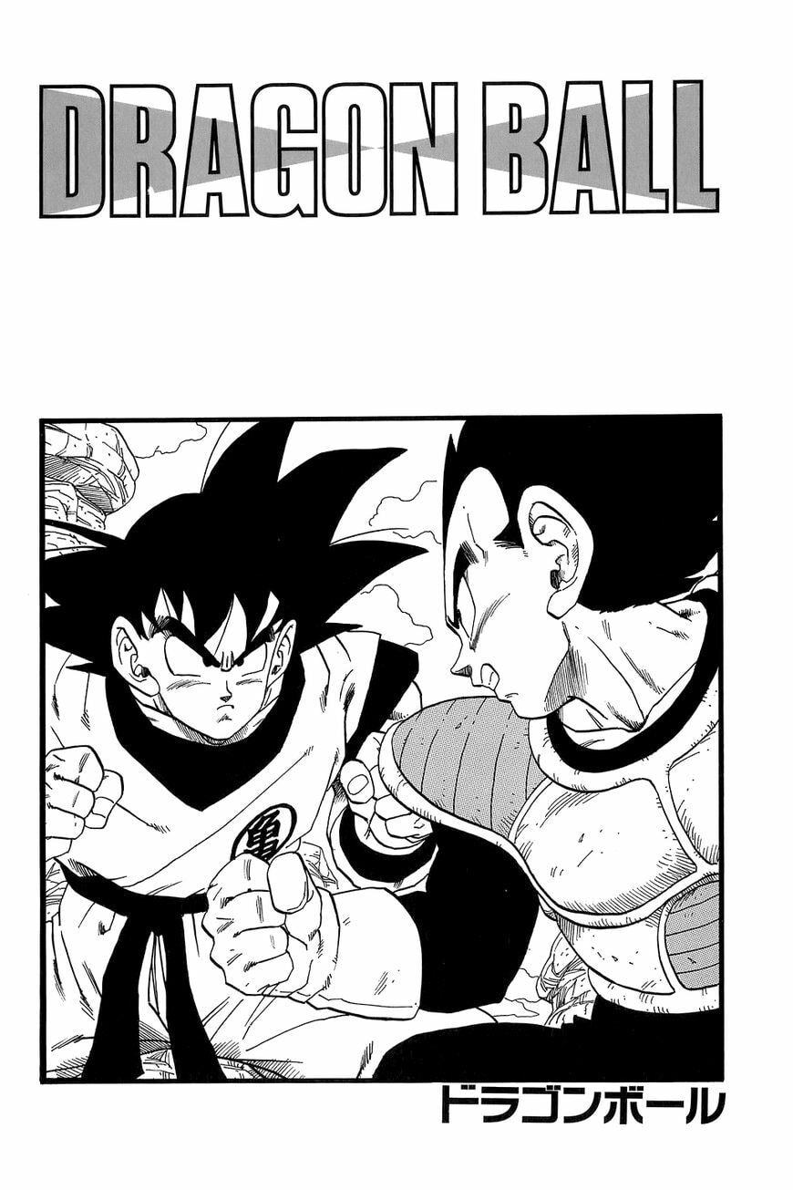 Read Dragon Ball chapter 254.5 image 3 on Lezhin