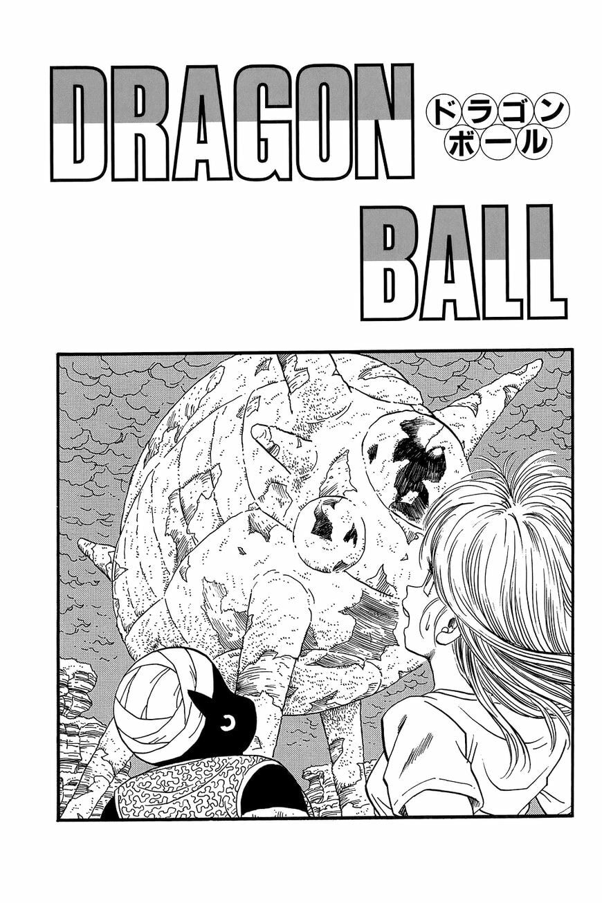 Read Dragon Ball chapter 254.5 image 6 on Lezhin