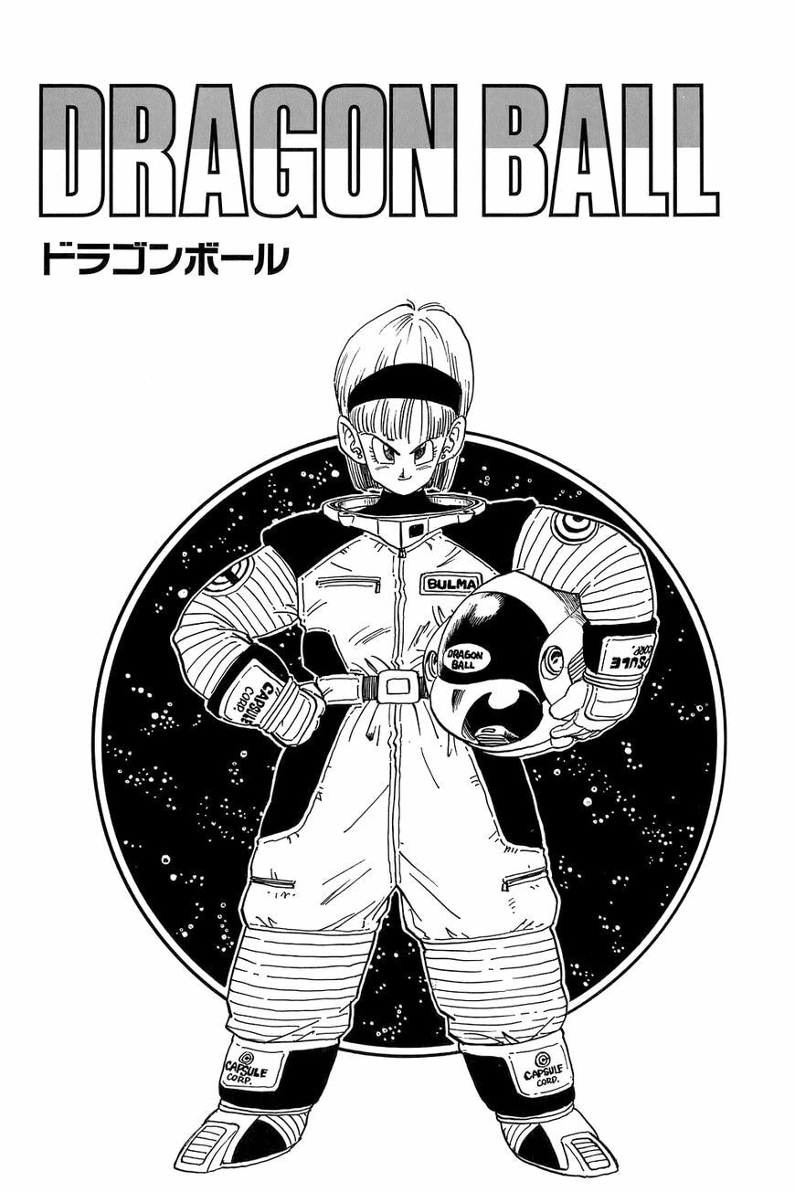 Read Dragon Ball chapter 254.5 image 8 on Lezhin