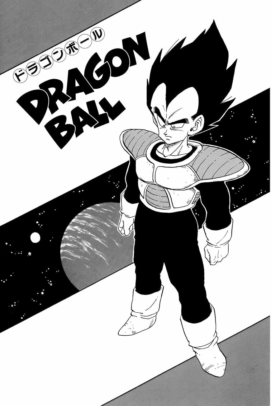 Read Dragon Ball chapter 254.5 image 9 on Lezhin