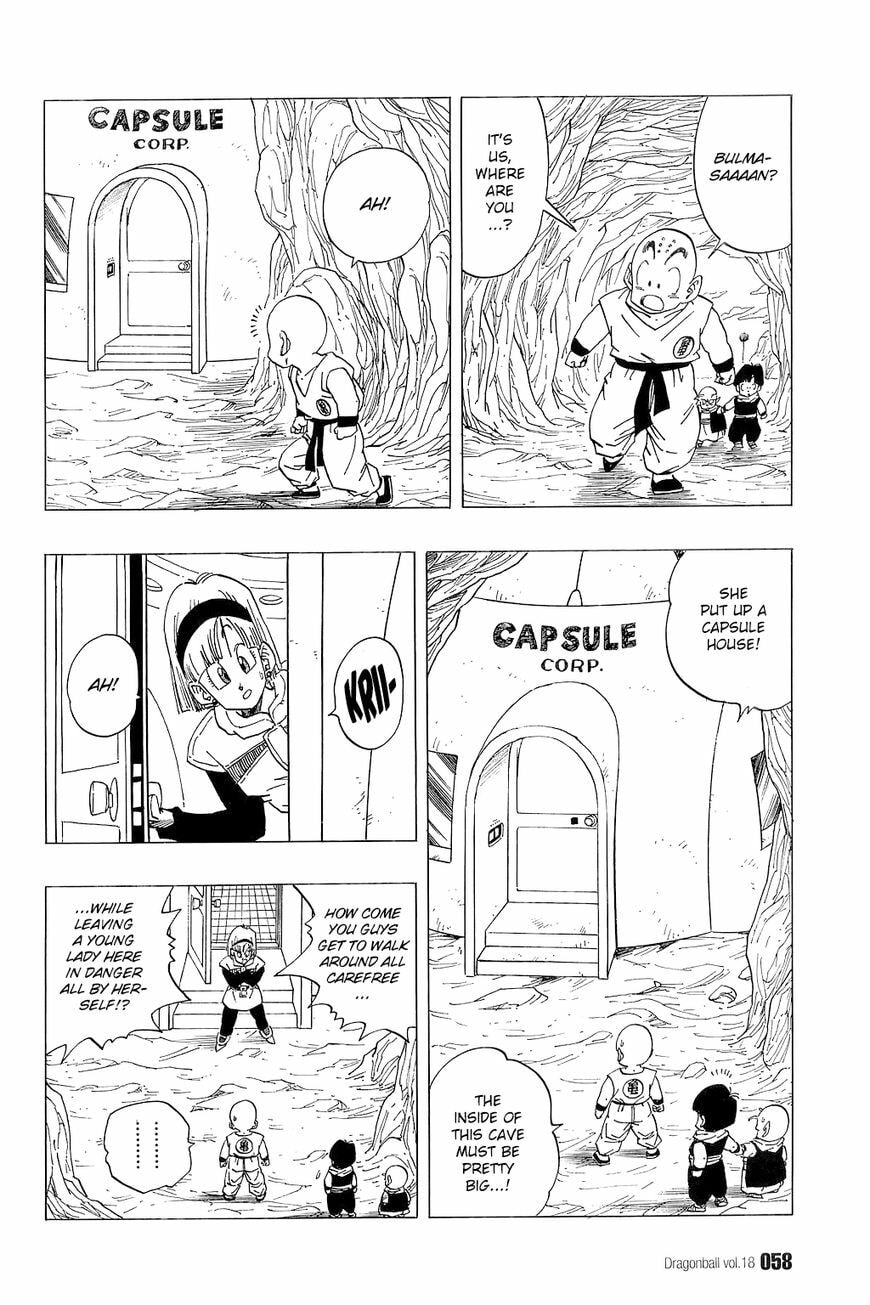 Read Dragon Ball chapter 258 image 10 on Lezhin