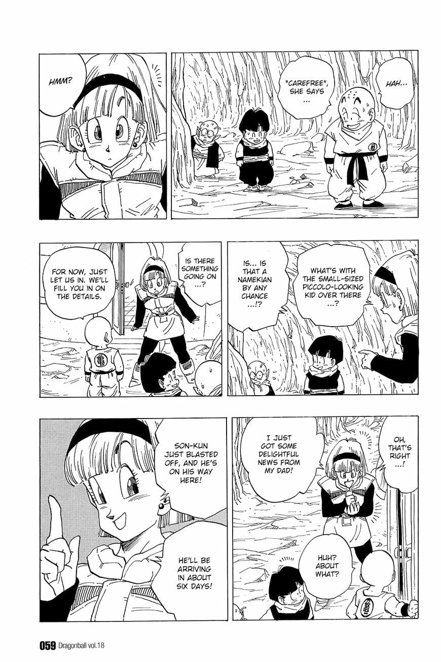 Read Dragon Ball chapter 258 image 11 on Lezhin