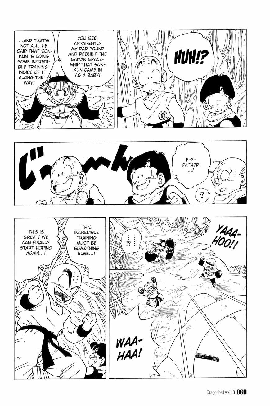 Read Dragon Ball chapter 258 image 12 on Lezhin