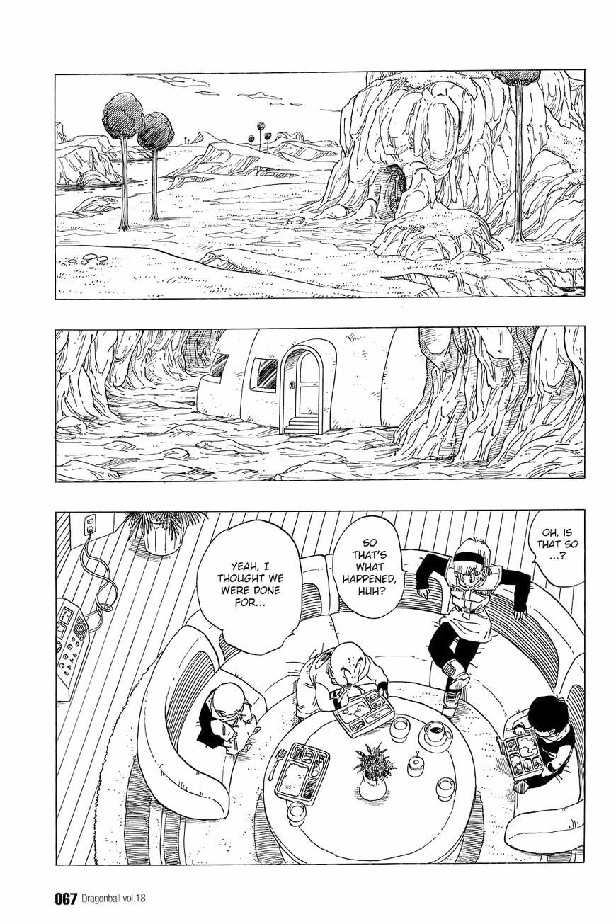 Read Dragon Ball chapter 259 image 5 on Lezhin
