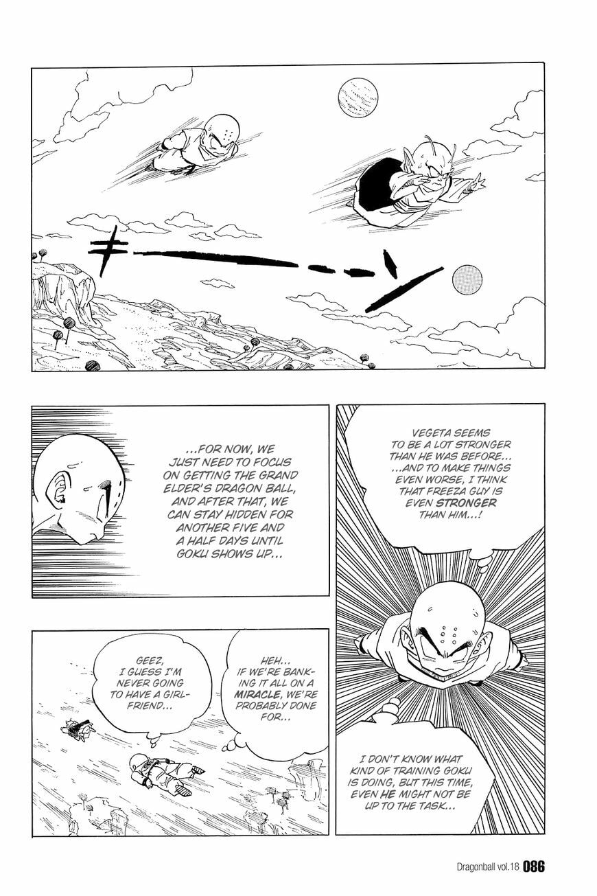 Read Dragon Ball chapter 260 image 10 on Lezhin