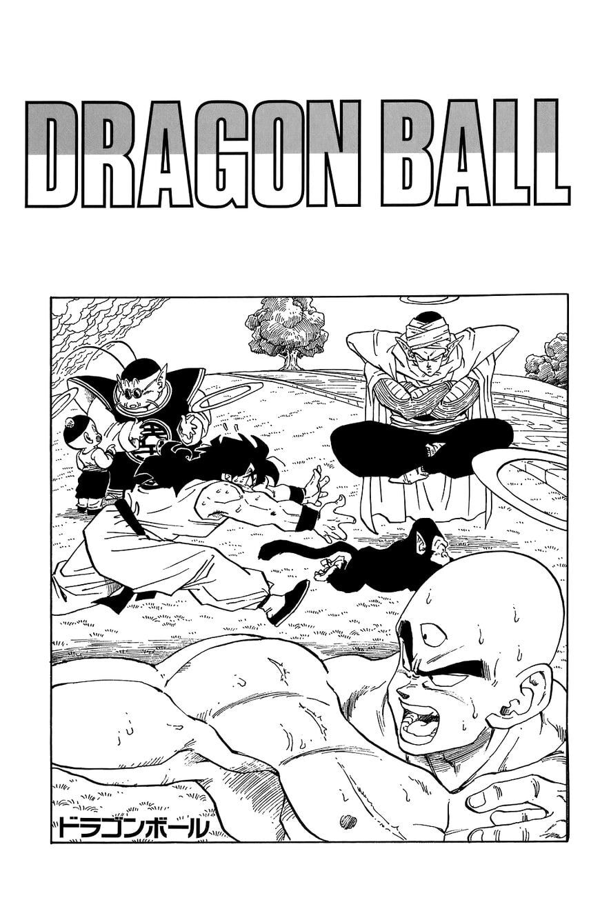 Read Dragon Ball chapter 269.5 image 10 on Lezhin