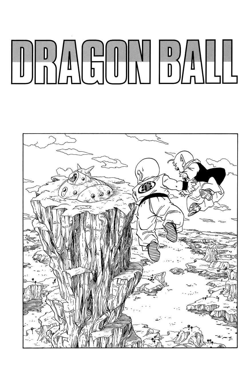 Read Dragon Ball chapter 269.5 image 11 on Lezhin