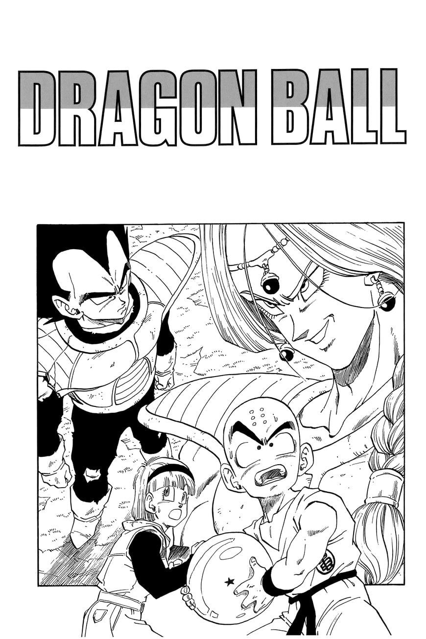Read Dragon Ball chapter 269.5 image 14 on Lezhin