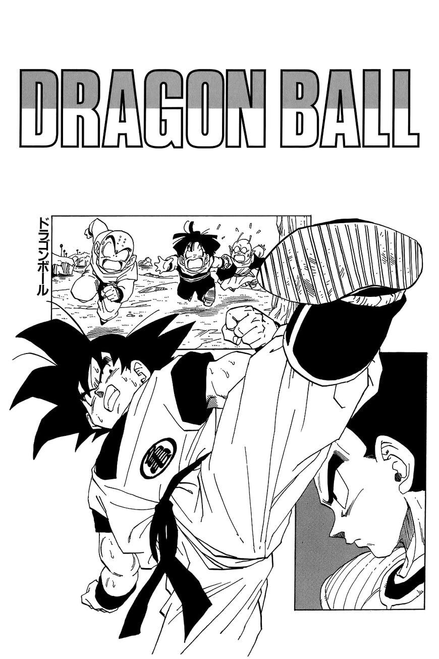 Read Dragon Ball chapter 269.5 image 5 on Lezhin