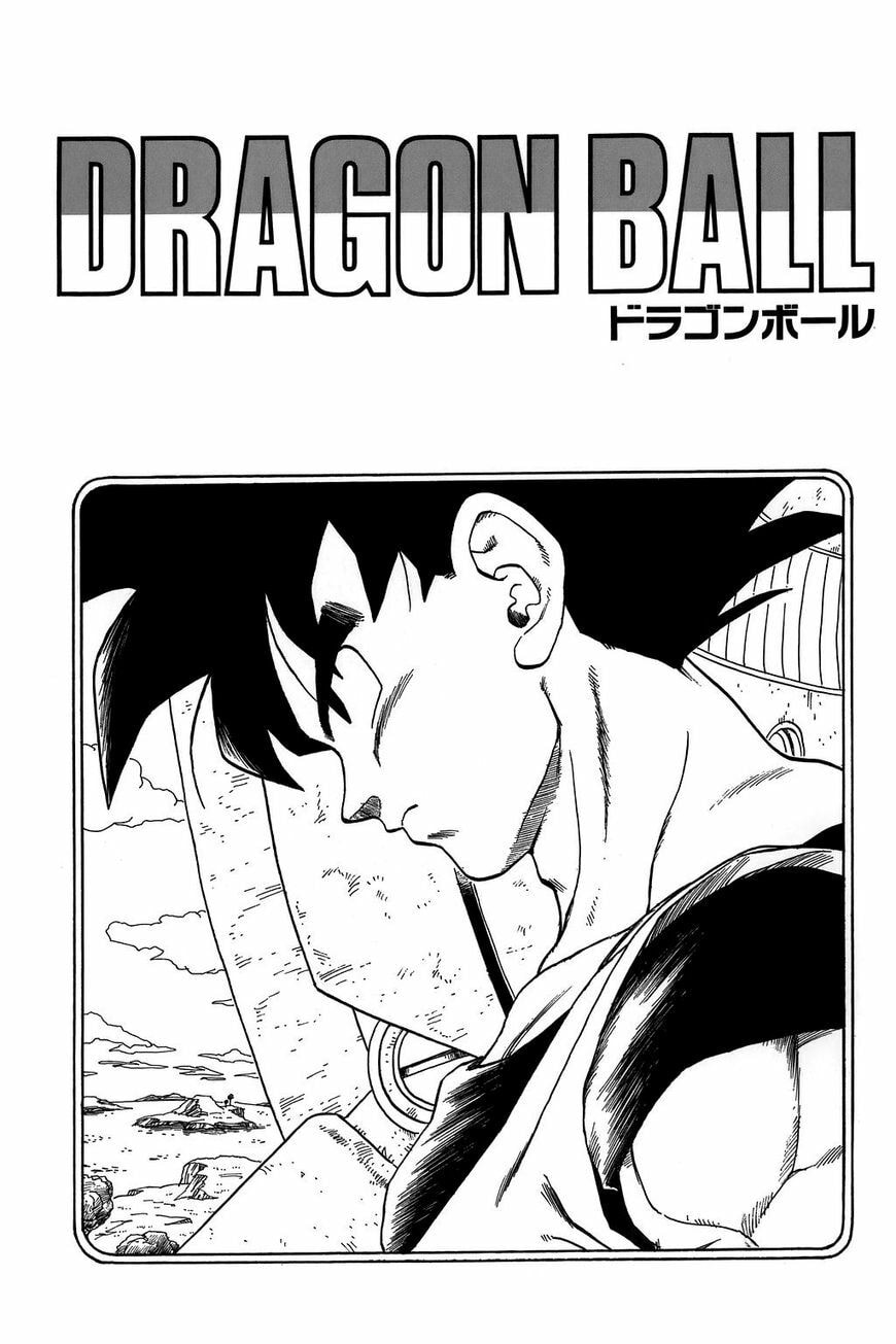 Read Dragon Ball chapter 284.5 image 10 on Lezhin