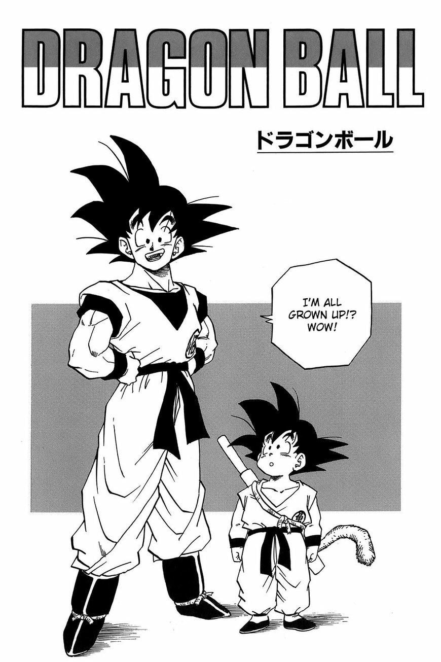 Read Dragon Ball chapter 284.5 image 11 on Lezhin