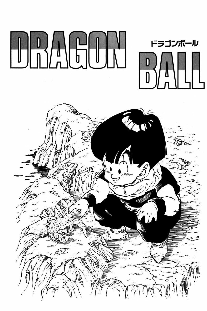 Read Dragon Ball chapter 284.5 image 9 on Lezhin