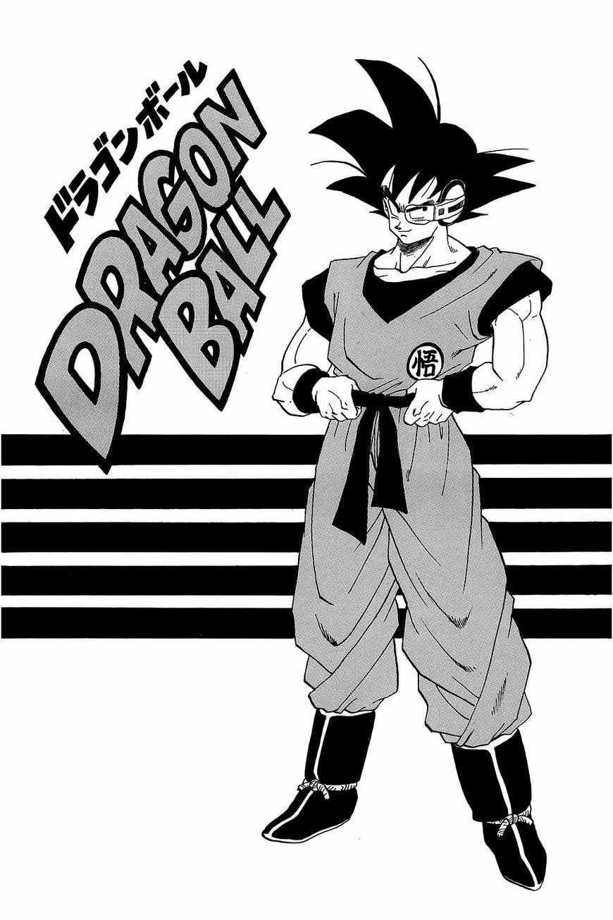 Read Dragon Ball chapter 299.5 image 3 on Lezhin