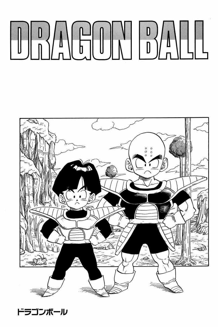 Read Dragon Ball chapter 299.5 image 5 on Lezhin