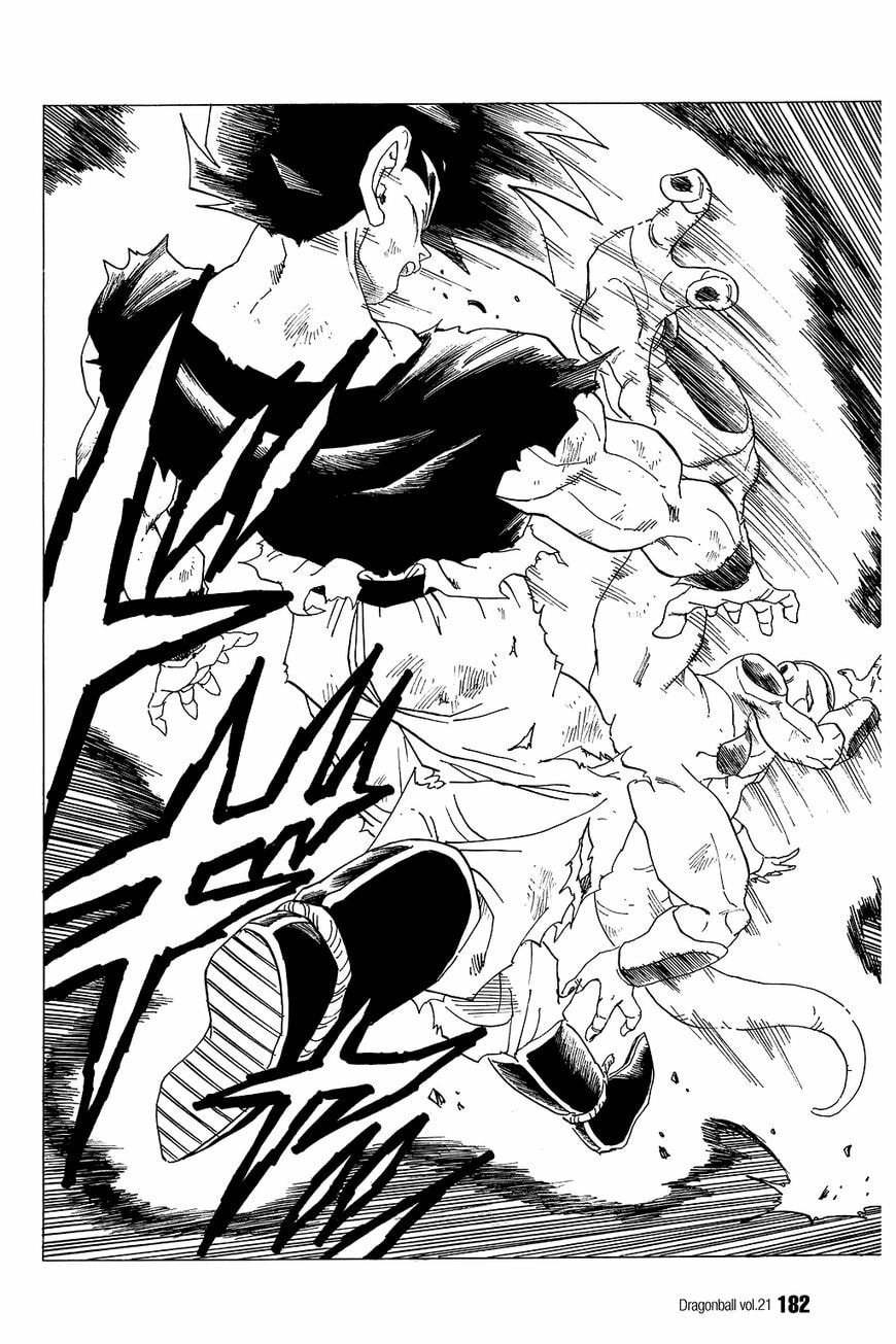 Read Dragon Ball chapter 312 image 10 on Lezhin