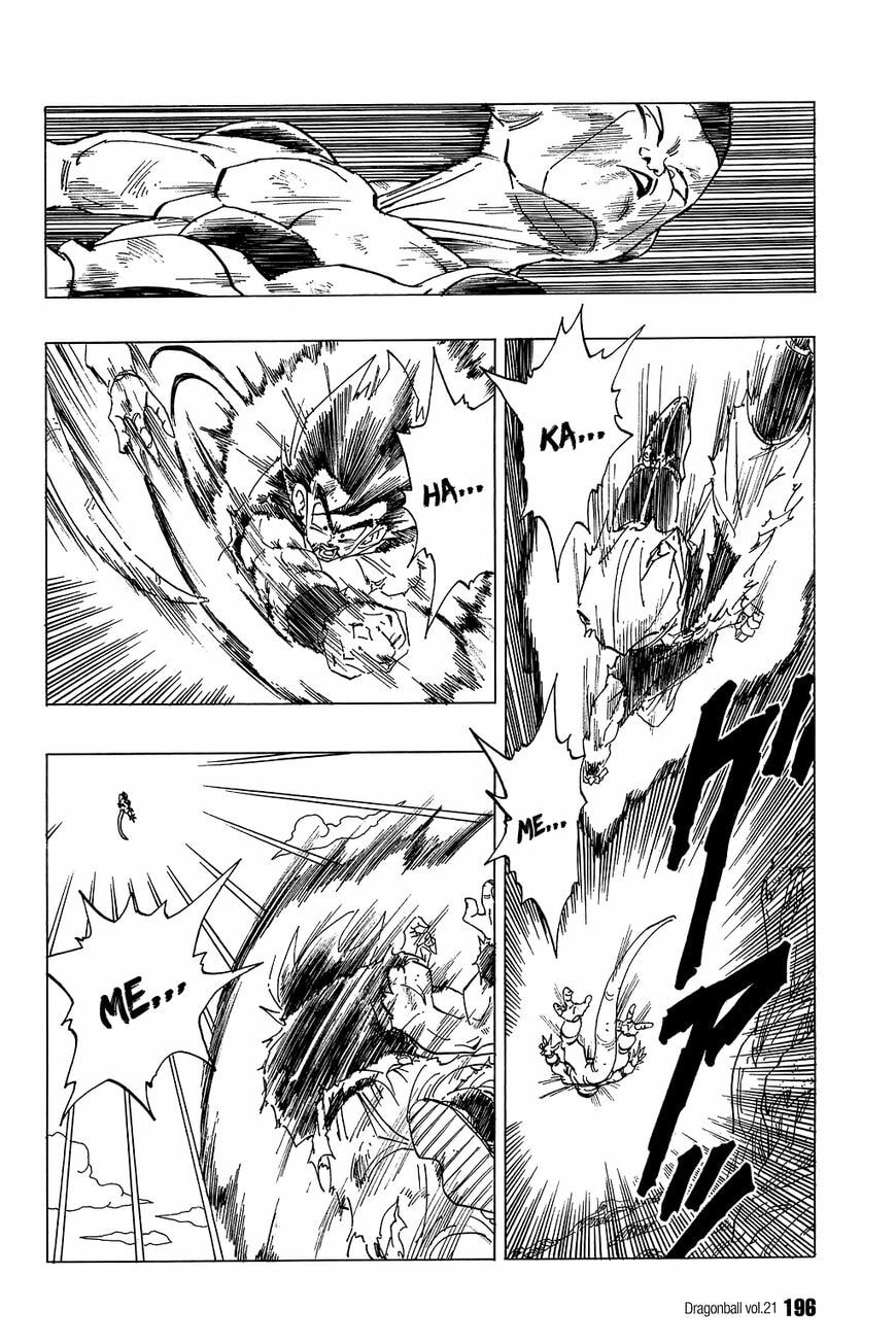 Read Dragon Ball chapter 313 image 10 on Lezhin