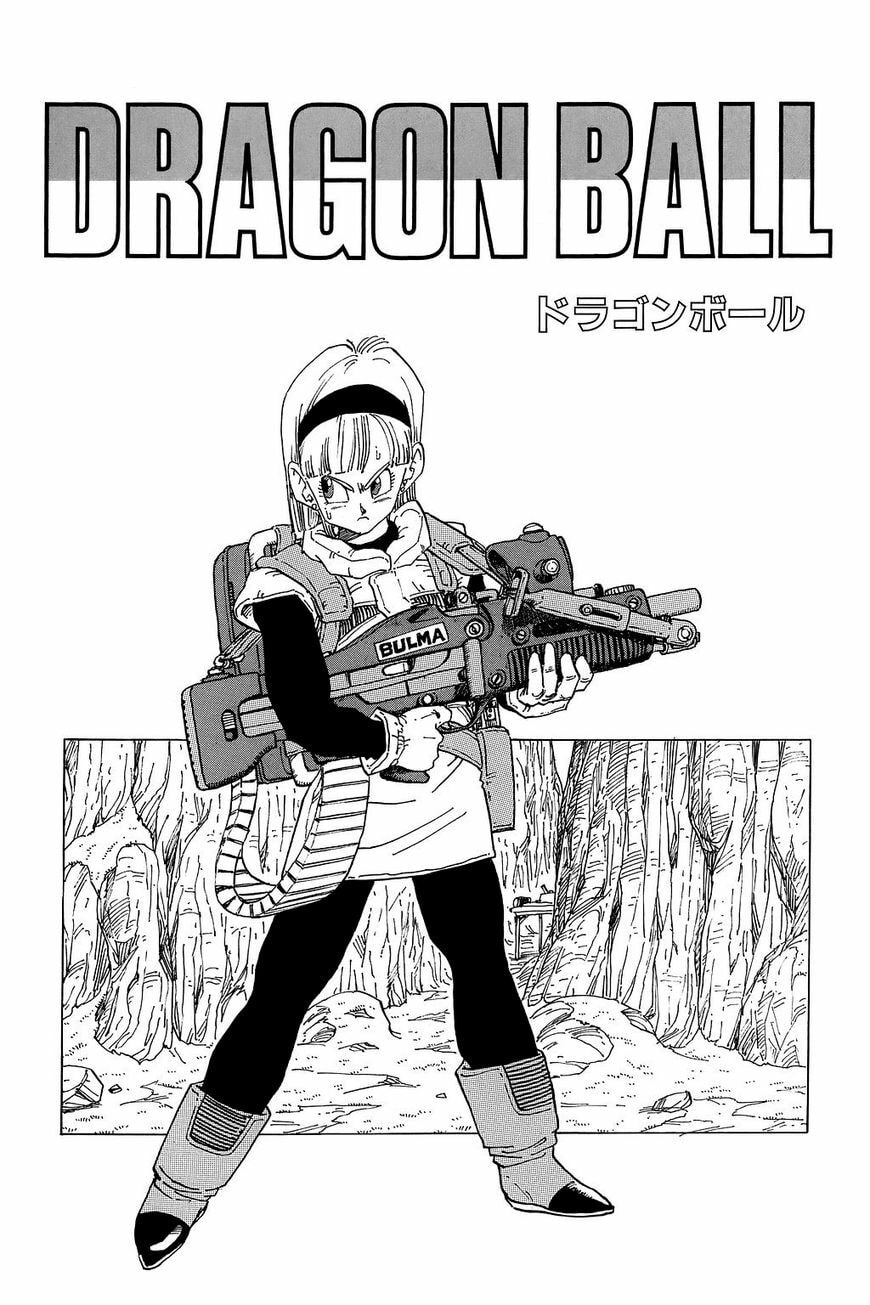 Read Dragon Ball chapter 314.5 image 10 on Lezhin