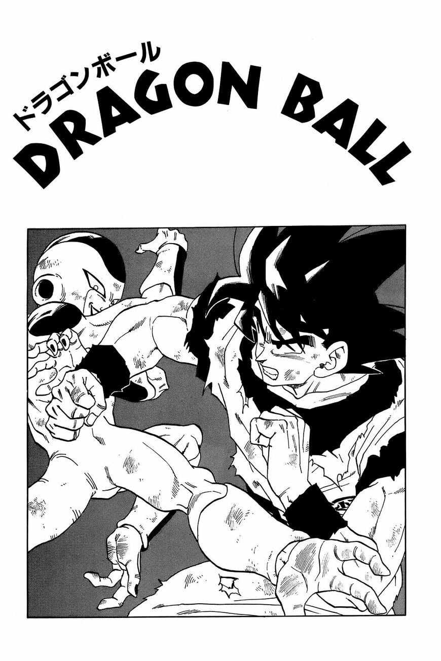 Read Dragon Ball chapter 314.5 image 11 on Lezhin