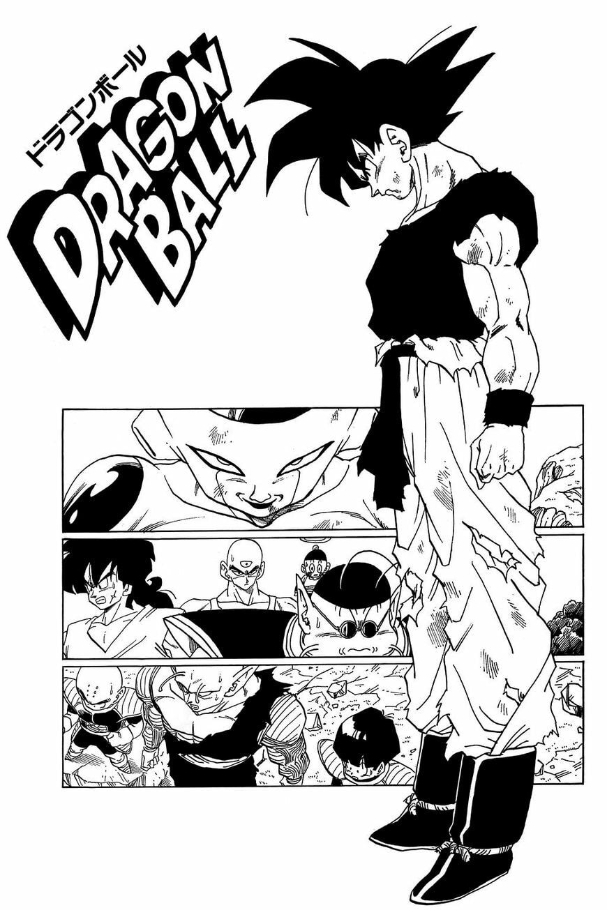 Read Dragon Ball chapter 314.5 image 12 on Lezhin
