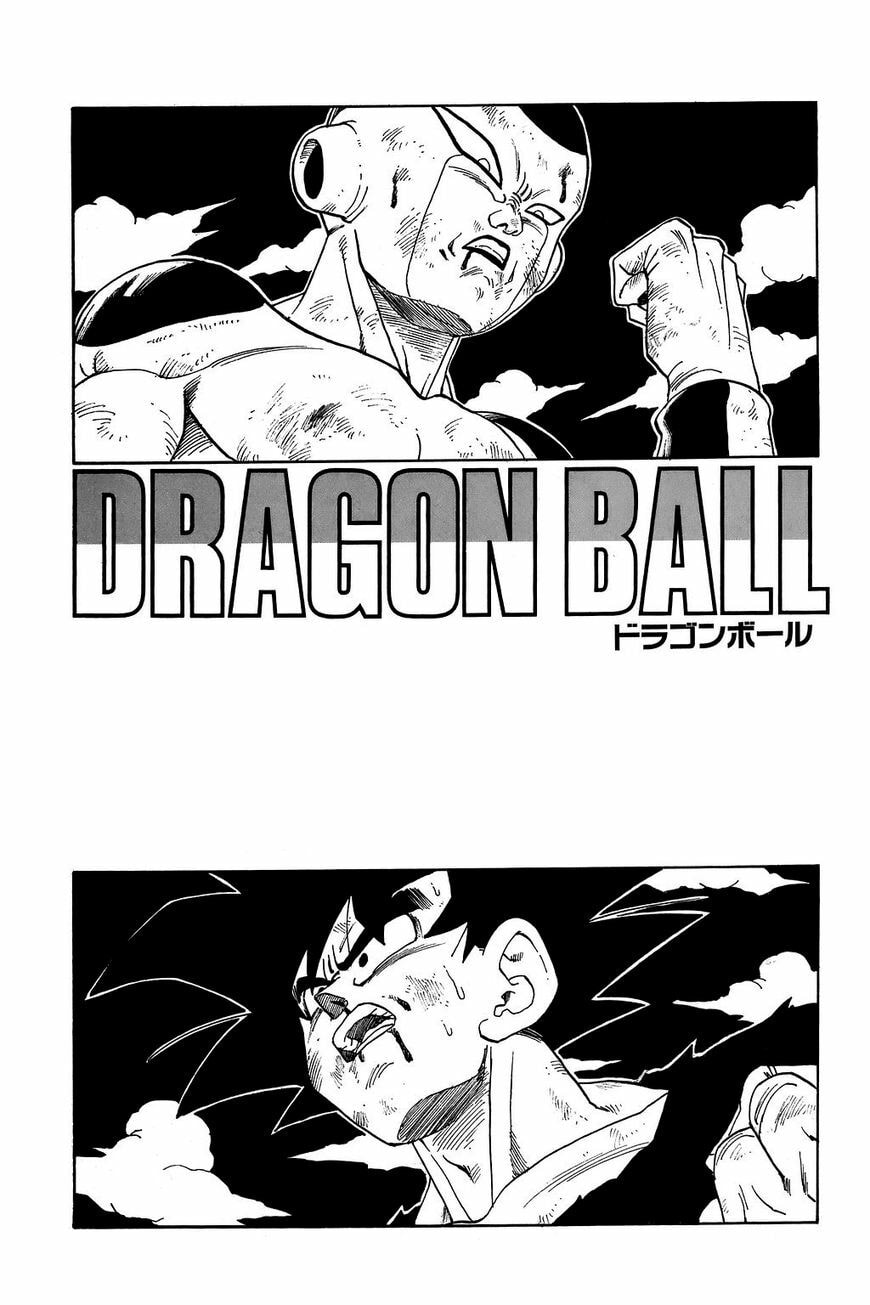 Read Dragon Ball chapter 314.5 image 14 on Lezhin