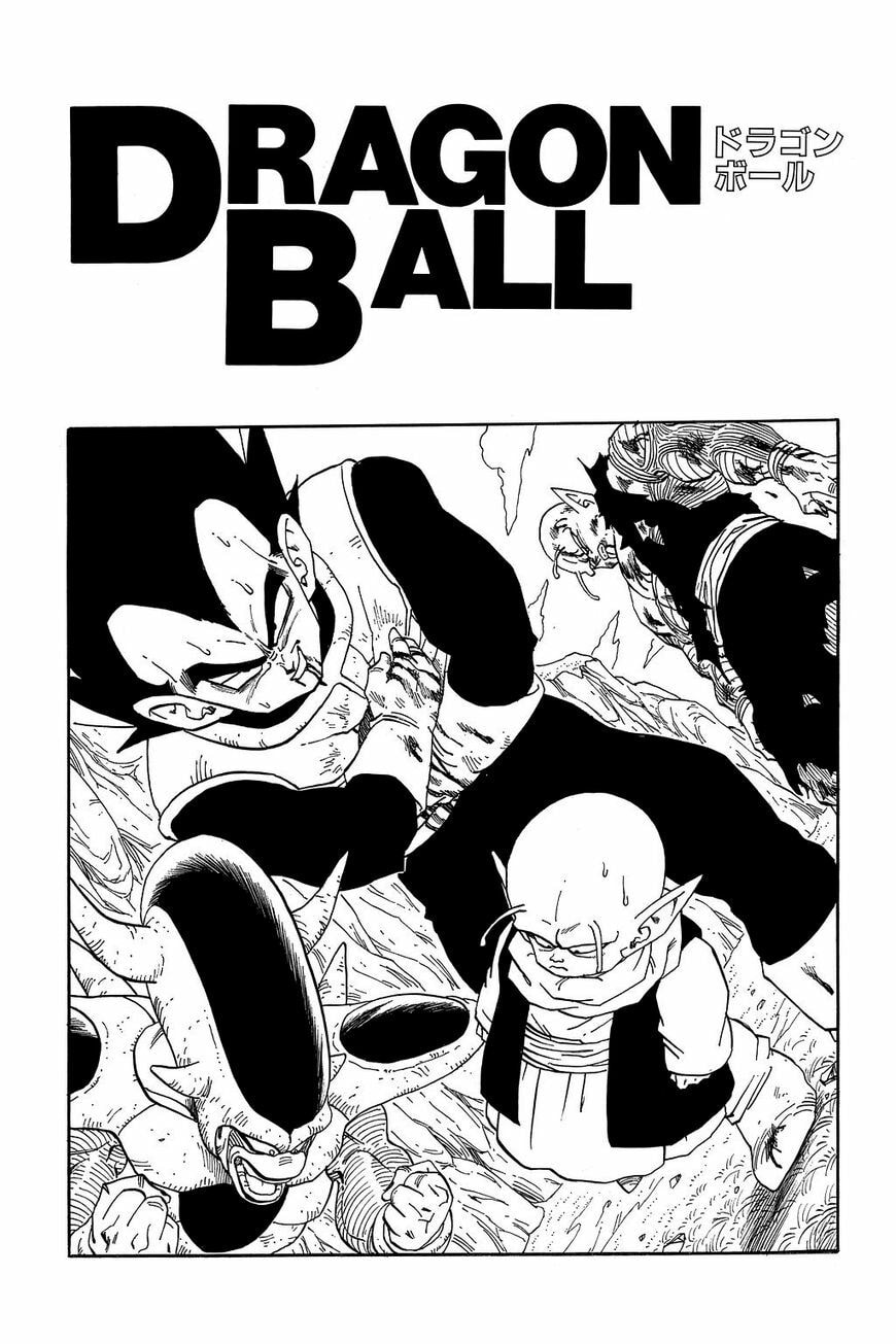 Read Dragon Ball chapter 314.5 image 5 on Lezhin