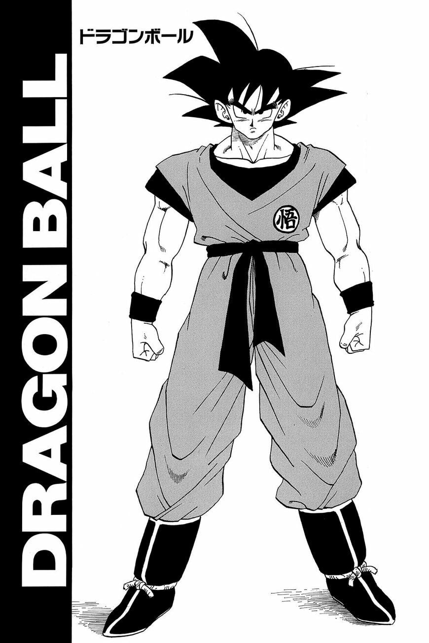 Read Dragon Ball chapter 314.5 image 6 on Lezhin