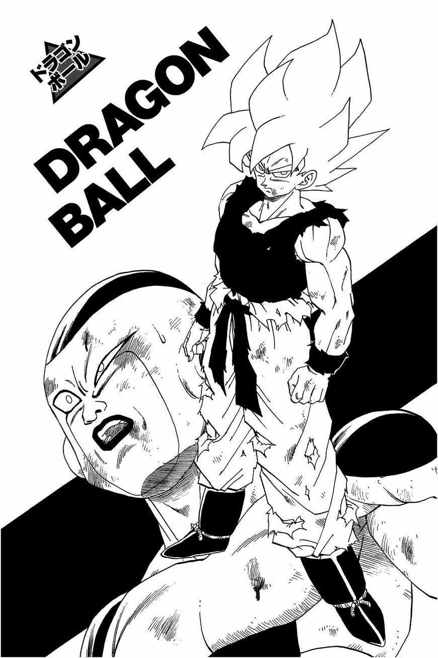 Read Dragon Ball chapter 329.5 image 17 on Lezhin