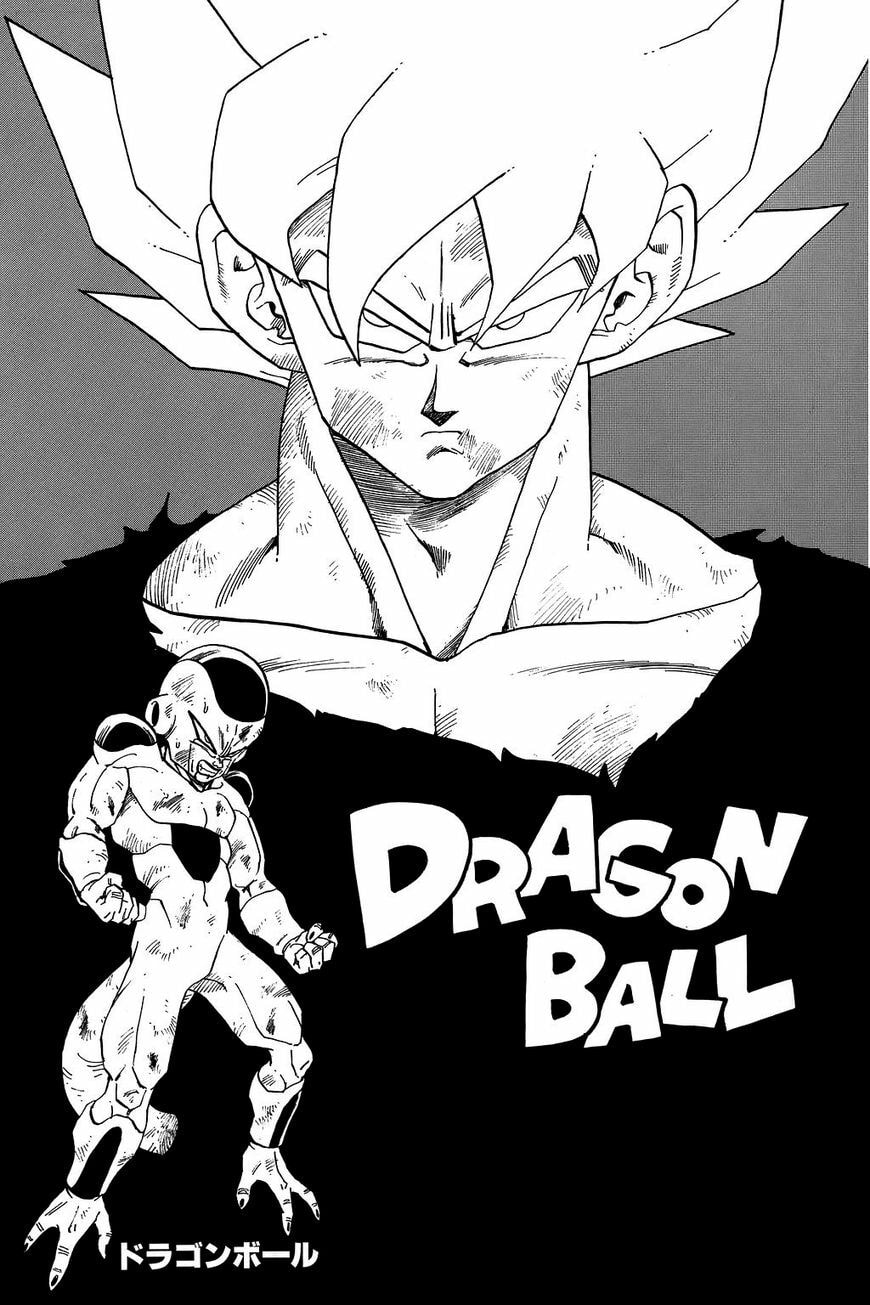 Read Dragon Ball chapter 329.5 image 18 on Lezhin
