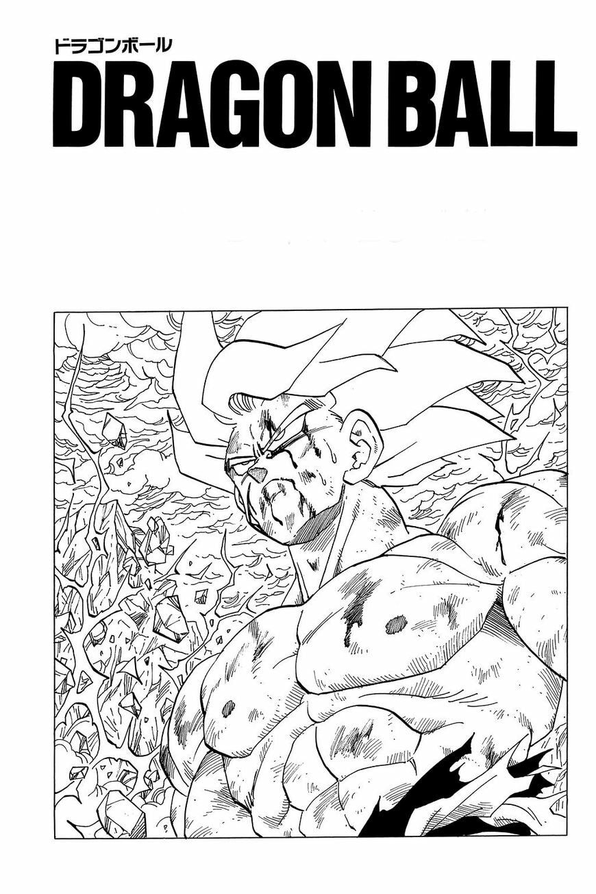 Read Dragon Ball chapter 329.5 image 22 on Lezhin