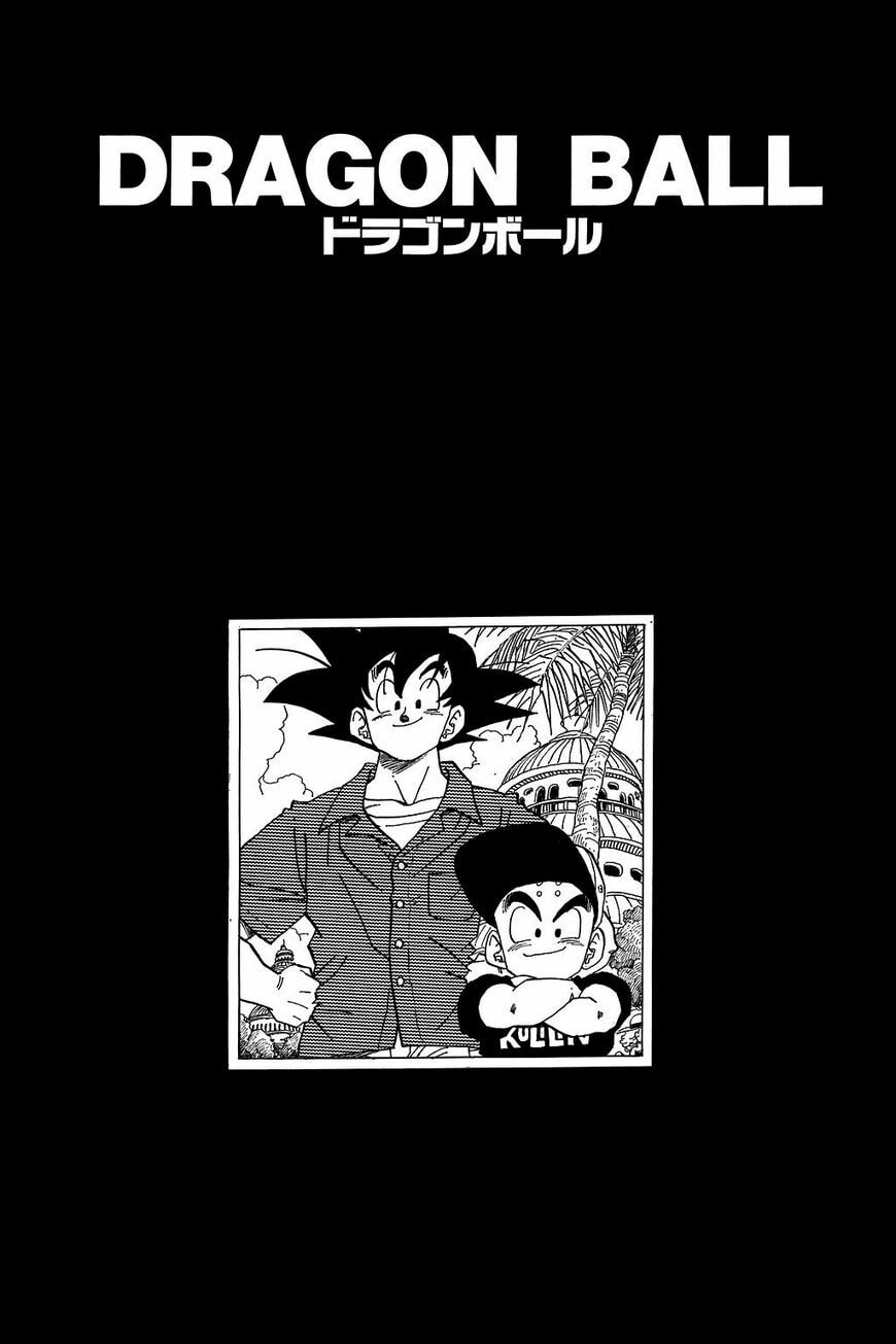 Read Dragon Ball chapter 329.5 image 23 on Lezhin
