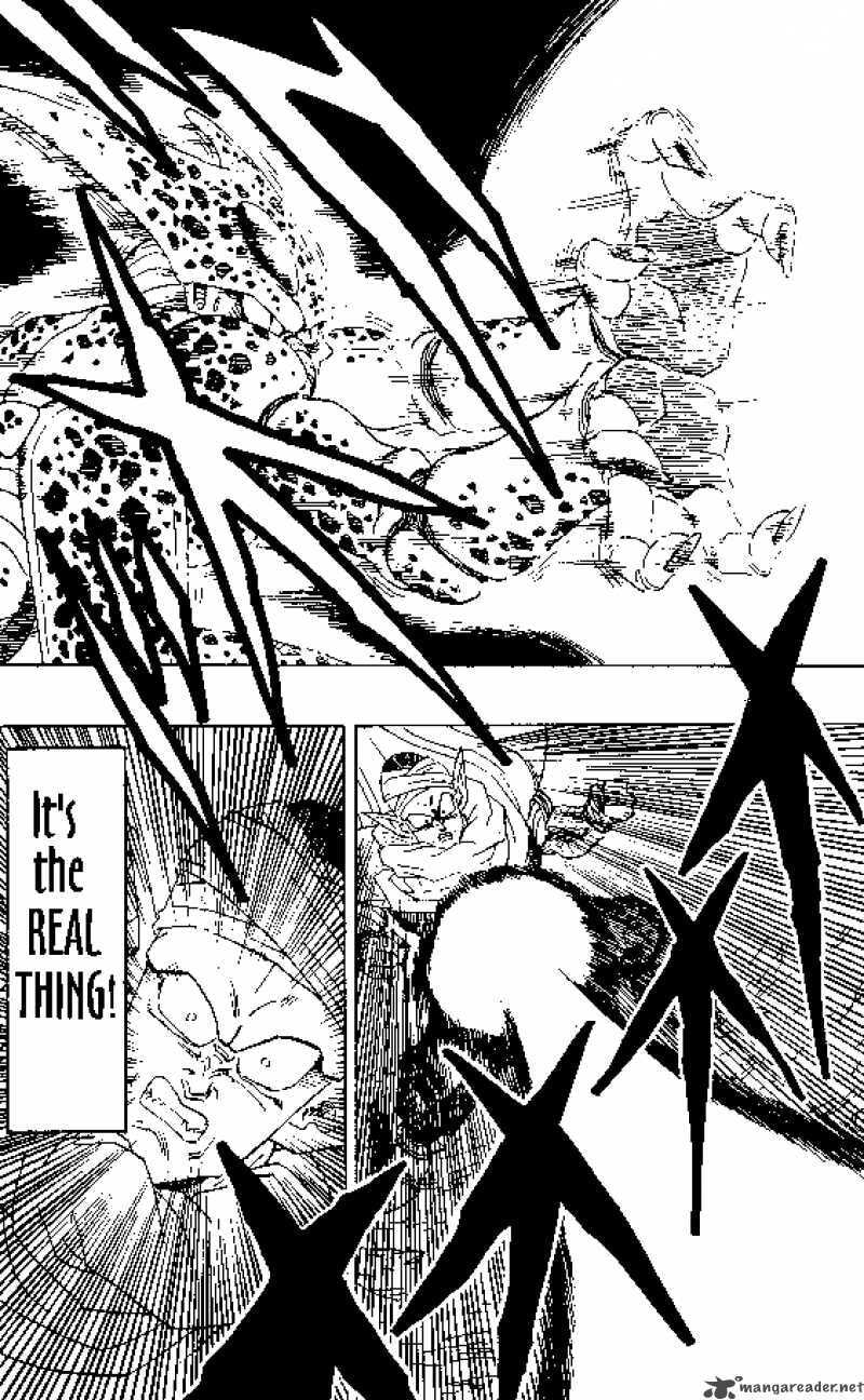Read Dragon Ball chapter 363 image 1 on Lezhin
