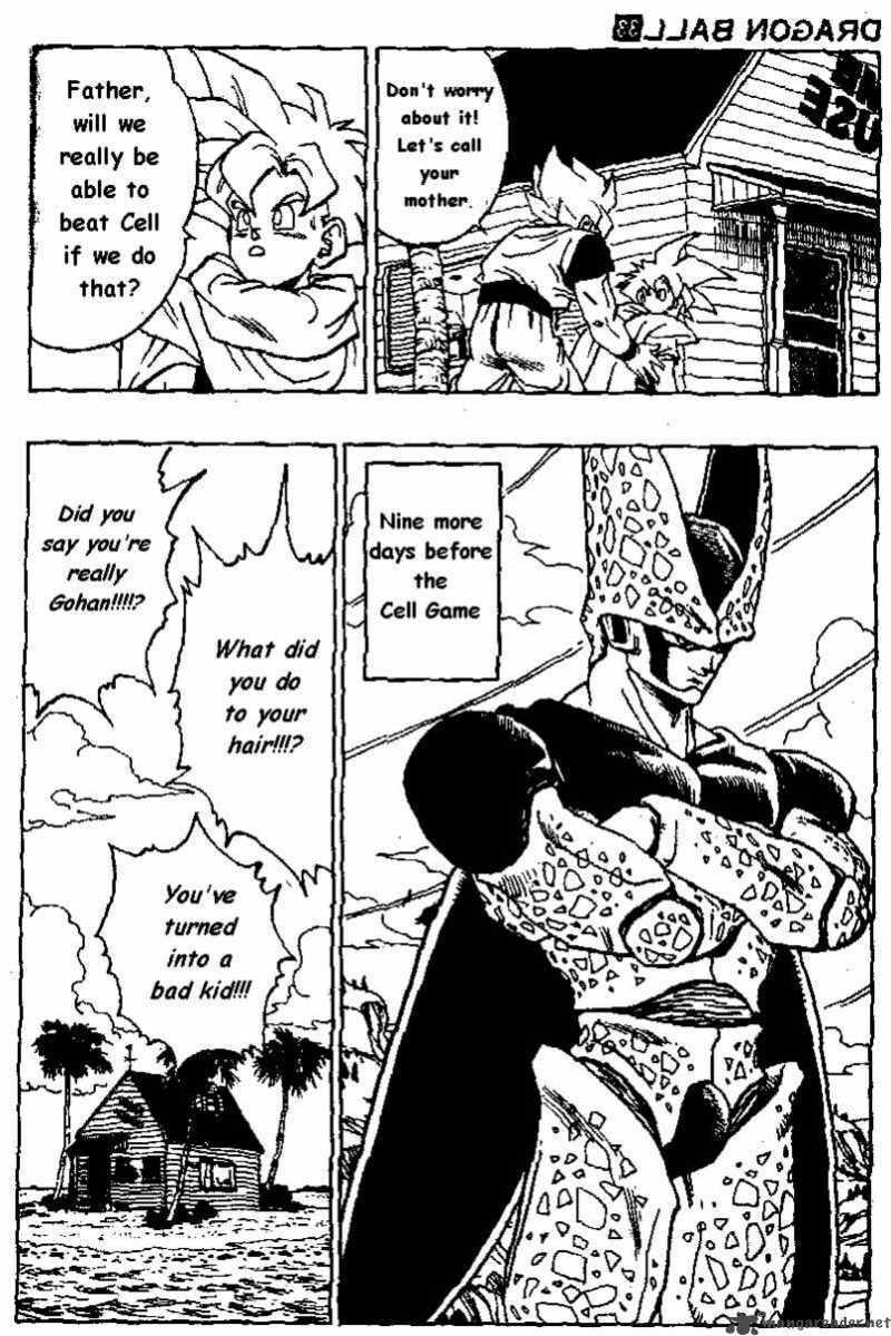 Read Dragon Ball chapter 391 image 13 on Lezhin