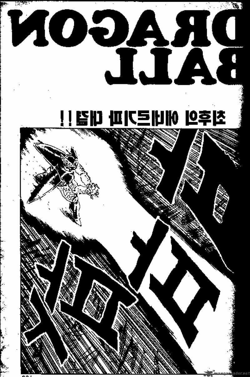 Read Dragon Ball chapter 416 image 13 on Lezhin