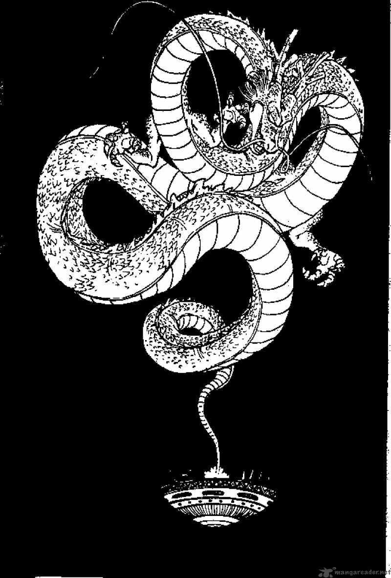 Read Dragon Ball chapter 418 image 9 on Lezhin