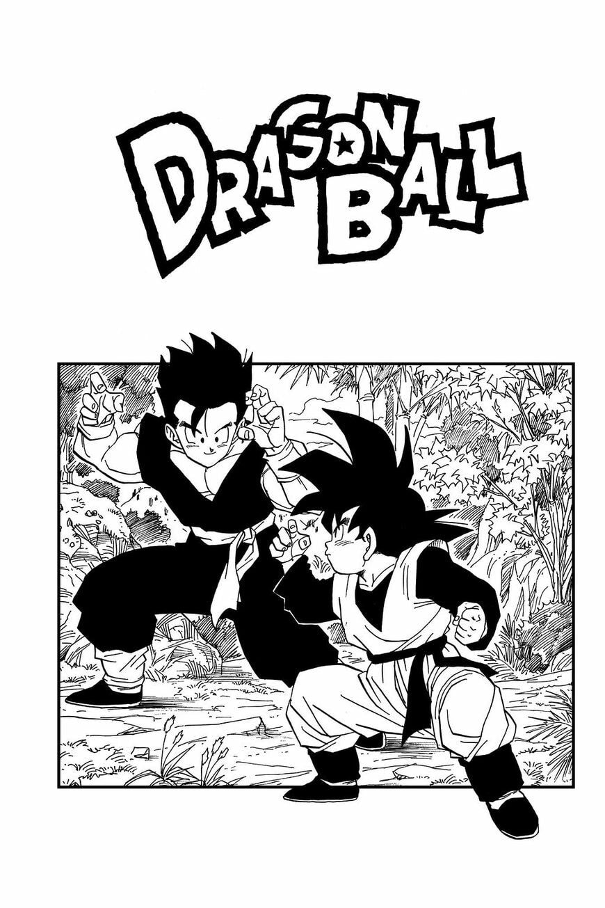 Read Dragon Ball chapter 436.5 image 4 on Lezhin