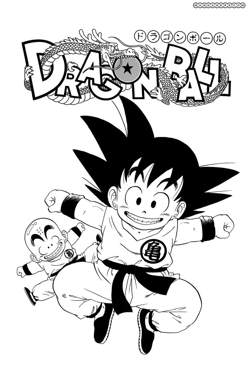 Read Dragon Ball chapter 44.5 image 2 on Lezhin